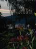pict00441