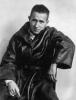 brecht