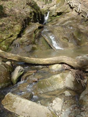 natur