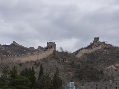 P1030641