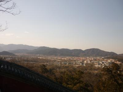 P1030782