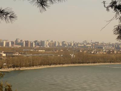 P1030816