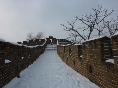 P1040077