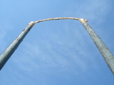 P3071818