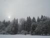 DSC04644