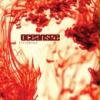 Oceansize - Efflorence