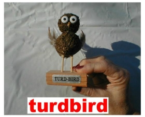 turdbird