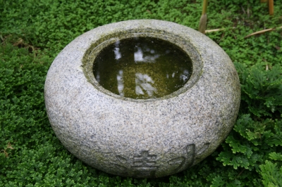 495013_web_R_K_by_marion-flemming_pixelio-de