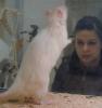 ich_ratte