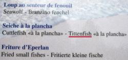 Tittenfisch