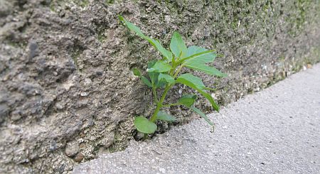 exponierte lagen und ihre vorteile