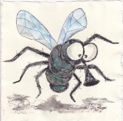 Fliege