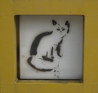 streetart, mainz-neustadt, schablone, cat, katze, straßenkunst