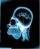 Gehirn-Homer