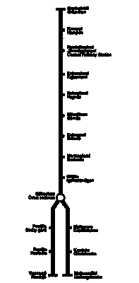 metrolinja