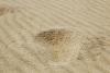 Spuren im Sand Spuren im Sand