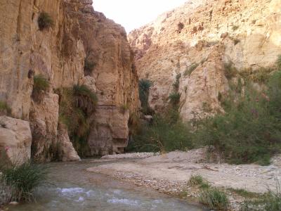 Wadi-Hasa-055