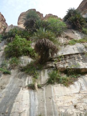 Wadi-Hasa-084