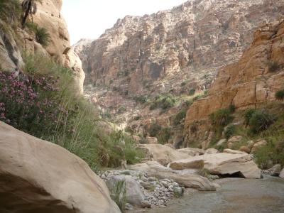 Wadi-Hasa-090