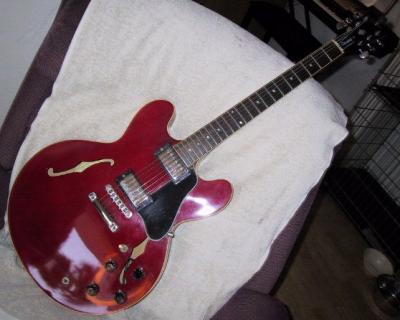 60gibsones33501