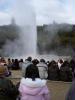 Et Voila meine Damen und Herren: der Lady Knox Geysir ist nun an!!! ;O)