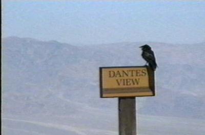 dantes
