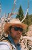 mohave4