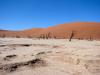 Das Deadvlei ist mitten in der Wüste Namib, ein salzüberkrustetes, unglaublich heißes Tal inmitten roter Dünen, in dem seit Hunderten von Jahren kein Leben eine Chance hat.
