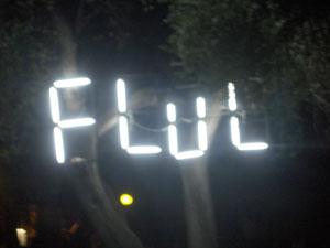fluc2