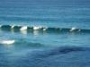 surfer