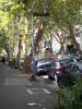 victoria-lane2