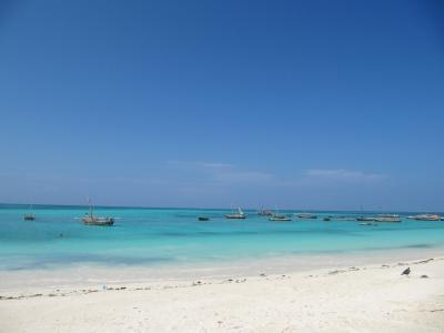 IMG_3096-2-