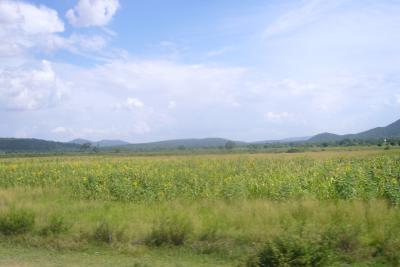 Landschaft2