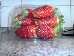 Früh-Wurf-Bio-Erdbeeren