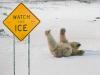 Watch for ice