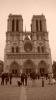 Notre-Dame1