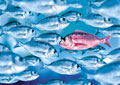 Fische