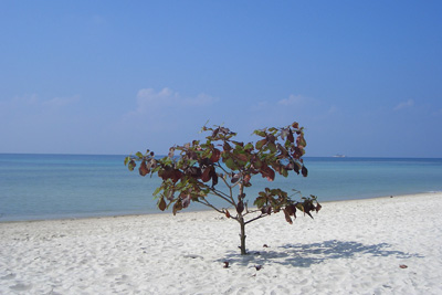 kophangan3