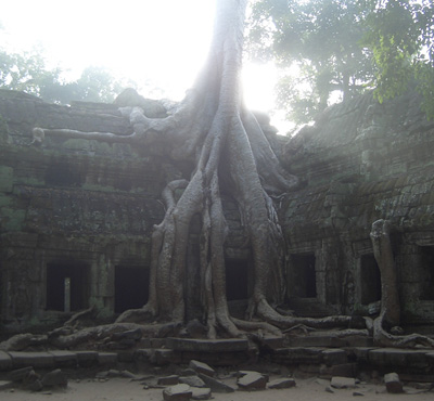 taprohm2