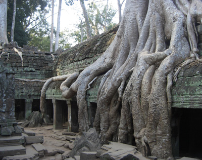taprohm3