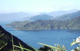 Marlborough-Sounds