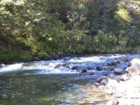 motueka-river