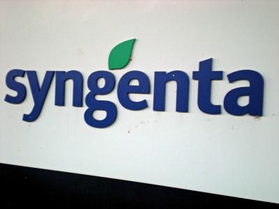 syngenta-klein