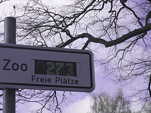 zoo