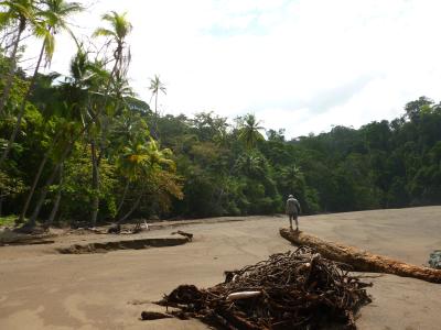 Bucht bei Rio Claro