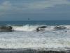 Surfer und Pelikan