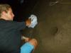 Eier eingrabaction
