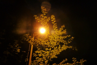 c1312