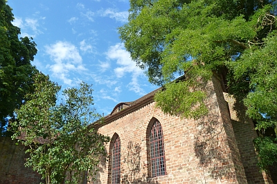 cho9
