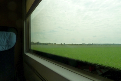 ingel2